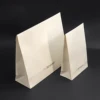 White kraft envelope