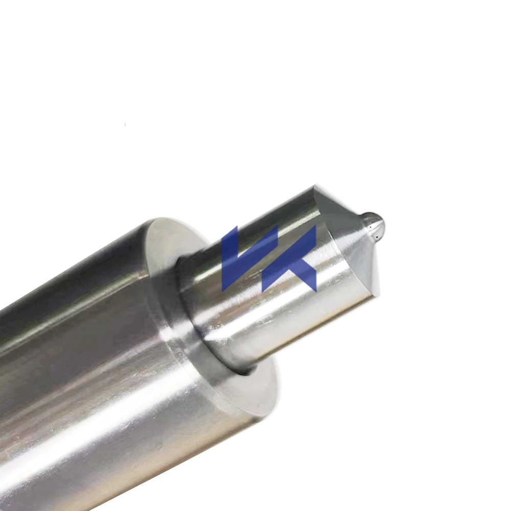 Fuel Injectors Common Rail Fuel Injector 10106951 for MTU 4000 ENGINES