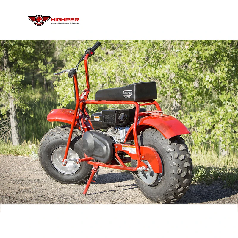 212cc Gas Powered Mini Chopper Bike - Ride-On Beach Bike with 40-60km/h  Speed | Perfect for Off-Road Adventures