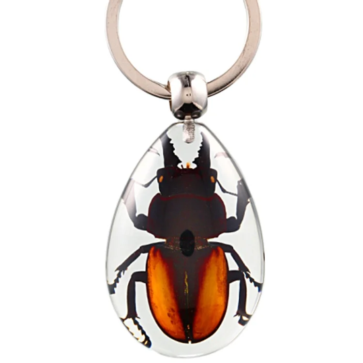 Large Drop-shaped Insect Amber Keychain: Spider & Beetle