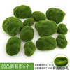 Uneven mossy stone