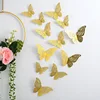 H# Gold [12 pcs per pack]