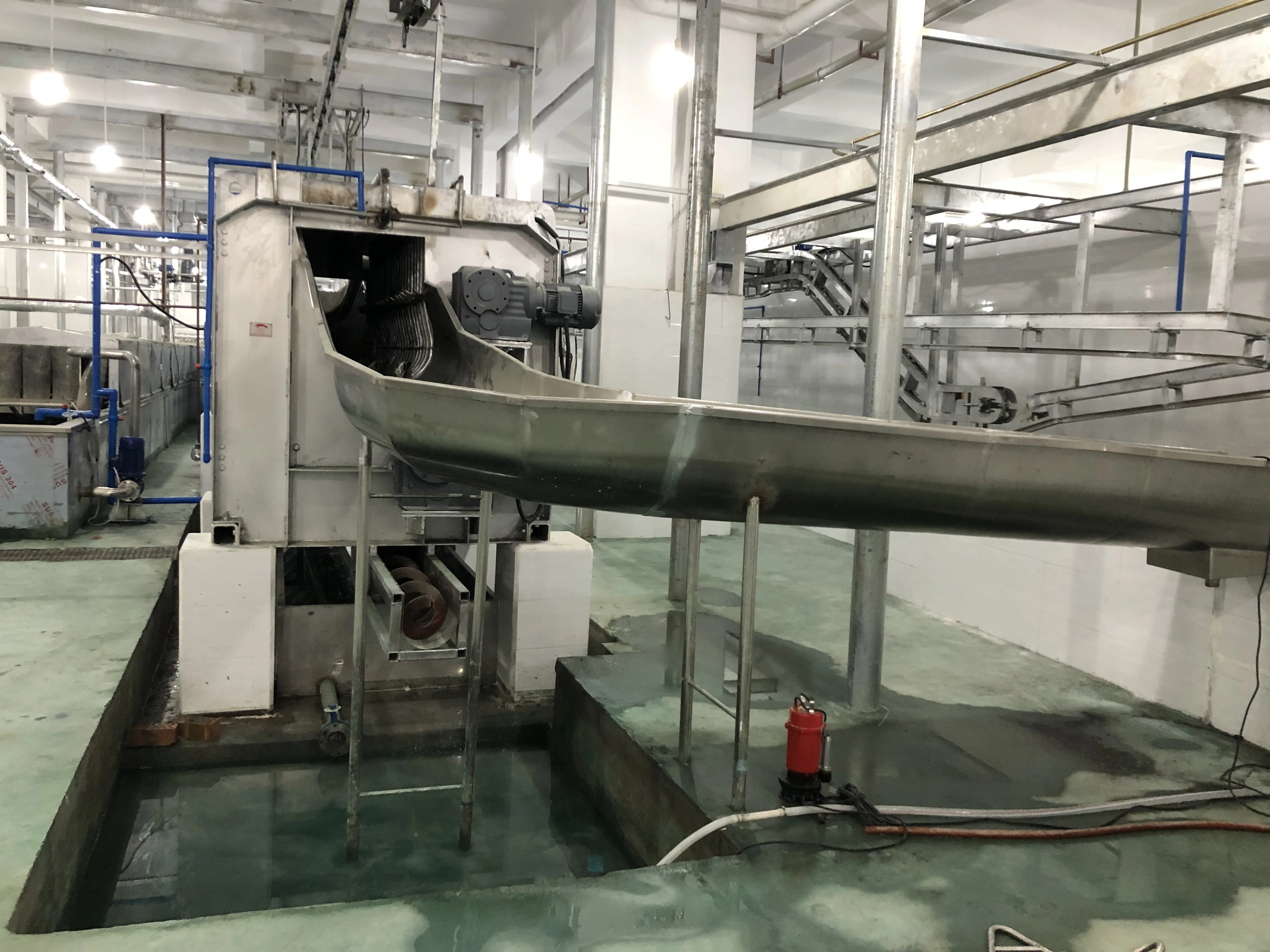 Complete pig slaughterhouse equipment for professional pig slaughtering systems