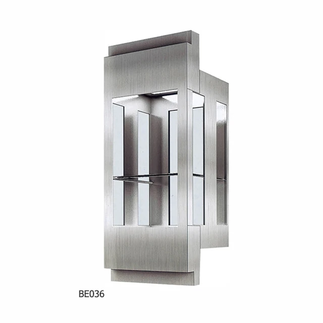 BEYOND ELEVATOR - 800 KG Observation Lift with Glass Wall