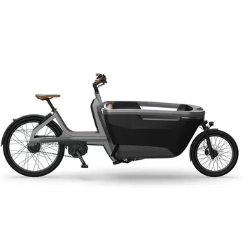 250w 36V 10Ah Europe Electric cargo bike,CE family bike electric cargo bike,electric family three wheel electric cargo tricycle