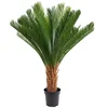 green  Big palm