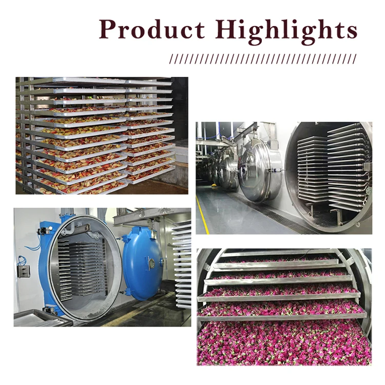 TCA High Quality Freeze Drying Machine Sublimation Condensation Dryer Vacuum Lyophilizer Price Freeze Drying