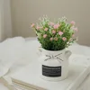 Ciel étoilé rose printanier + pot de fleur