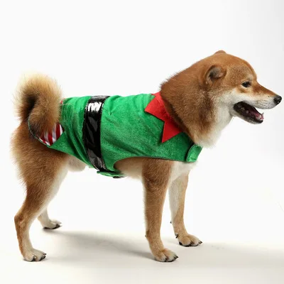 Vestido De Navidad Para Mascotas,Elfo Verde,Ropa Para Mascotas,Venta Al Por  Mayor - Buy Pet Personalizado Verde Navidad Elf Maquillaje,De Invierno Para  Mascotas Ropa De Navidad,Traje De Navidad Para Mascotas Ropa Product on