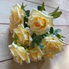 Champagne giallo
