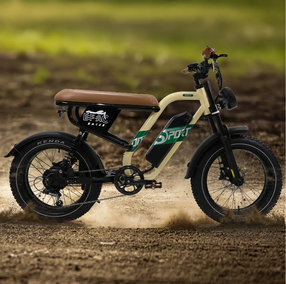 Customizable ODM Electric Hybrid Fat Tire E-Bike Mountain Bike