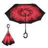 Red rose
