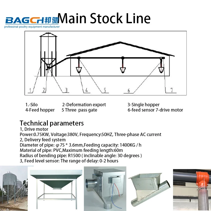 main stock line