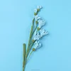 Blu-chiaro