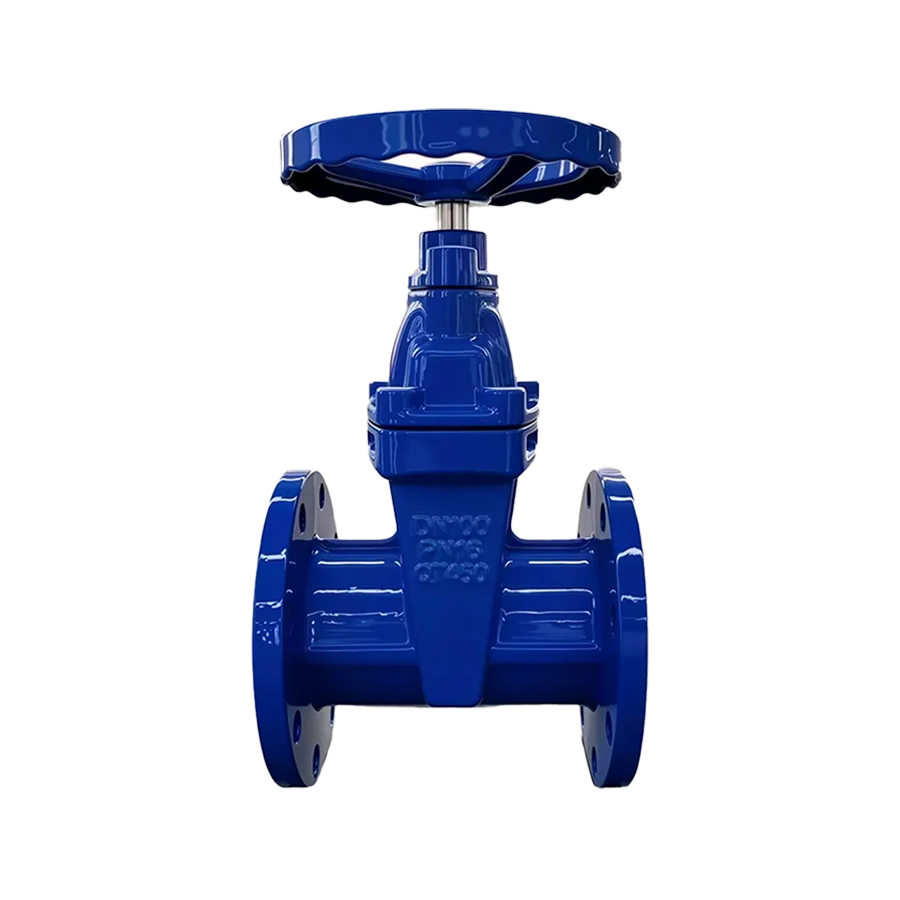 Ductile Iron Resilient Seated Gate Valve DN40-DN600 Manual Power for Water Media Non-Rising Stem