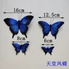 12,5 cm di larghezza