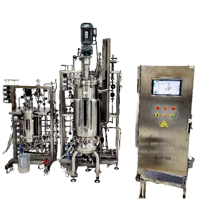 EU Standard High Quality 5-100L Two Stage Mechanical Stirring Bioreactor BLBIO 5-100SJA for Laboratory