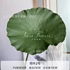 Lotus Leaf No. 2