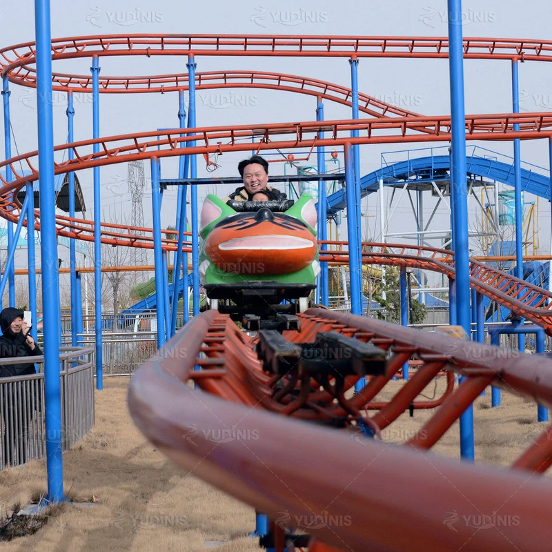 High Quality Factory Price 10 Seats Small Roller Coster Kids and Adults Amusement Fair Attraction Crazy Mouse Roller Coaster