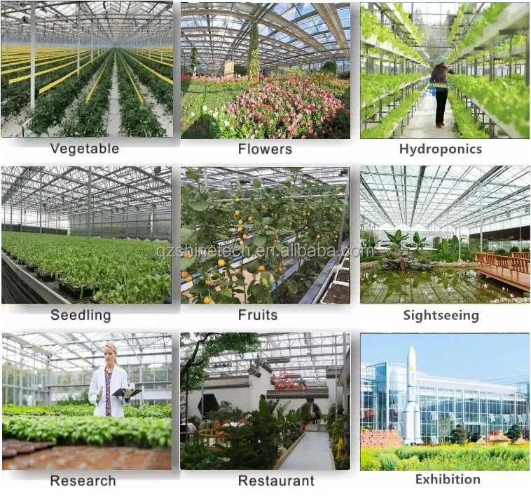 glass greenhouse
