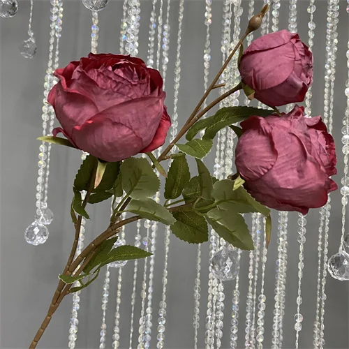 Съвършен избор за добавяне на дотич на природата във всяко пространство