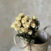 30 White Bubble Flower Heads Have a Diameter of about 1-2cm