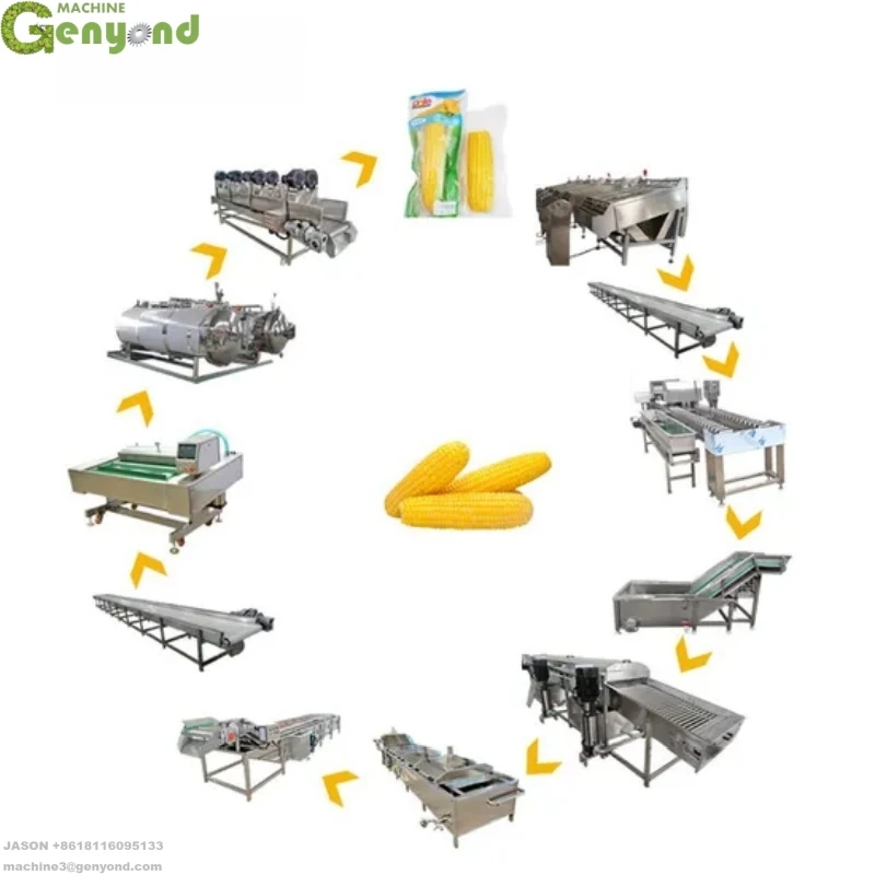 Industrial Sweet Corn Cutter Corn Segments Vacuum Packaging Processing Line