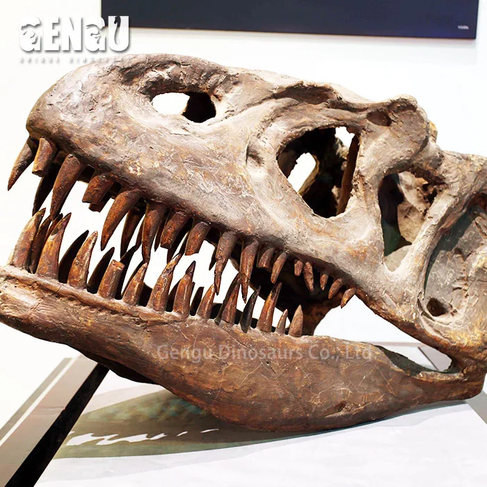 Animatronic Model Fiberglass Dinosaur Skeleton Statue Carnosaurus Dinosaur Fossils Teeth