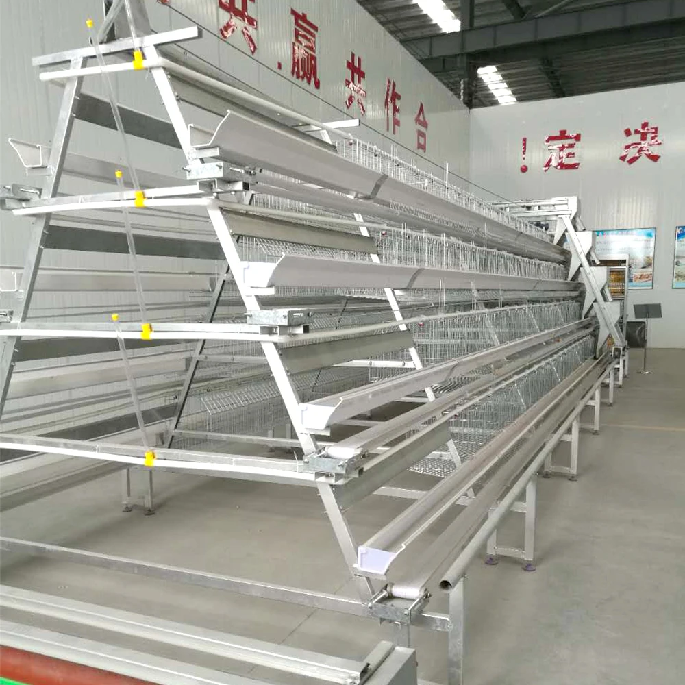Factory-Priced Chicken Farm Automatic Layer Cage Poultry Farm Welded Iron Wire Mesh Cage Galvanized Steel Wire Mesh Competitive