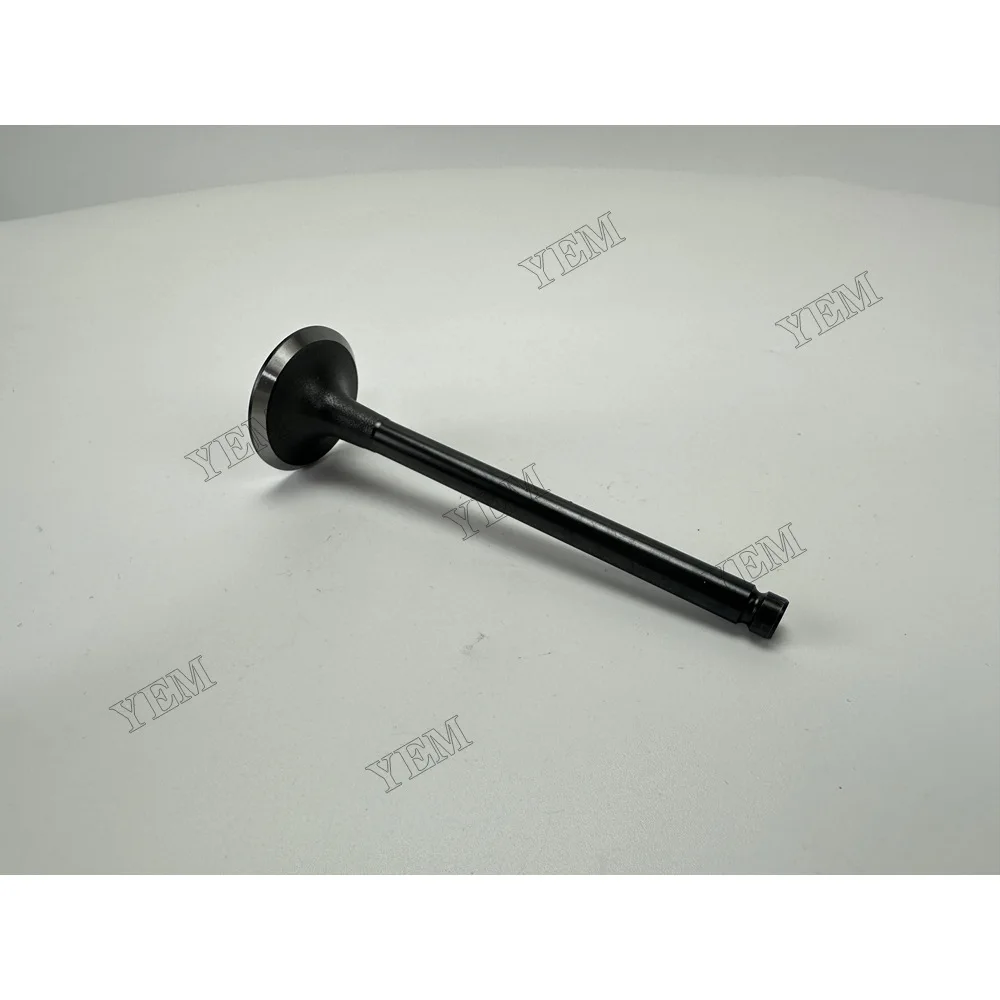 Intake Valve for Isuzu 3KC2 Engine Parts 5