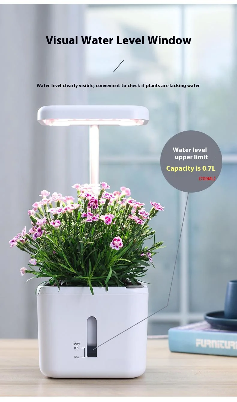 H7e55028eecd247309f147fbf353e5245M