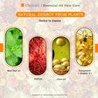 Orchard Brands Pure Bulk Essential Oil Manufacturers Price Wholesale Natural Body Safflower Oil Saffron Flow Hair Oil For Face