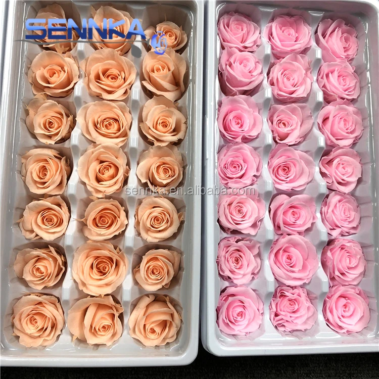 Оптовая продажа, свежий натуральный цветок лучшего качества для украшения