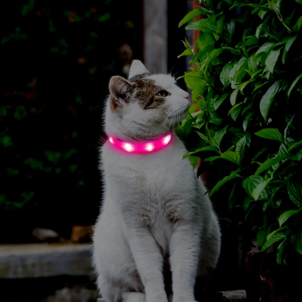 Hochwertiger niedlicher LED-Katzen halsband Bestseller mit Blinklicht aus  Polyester| Alibaba.com
