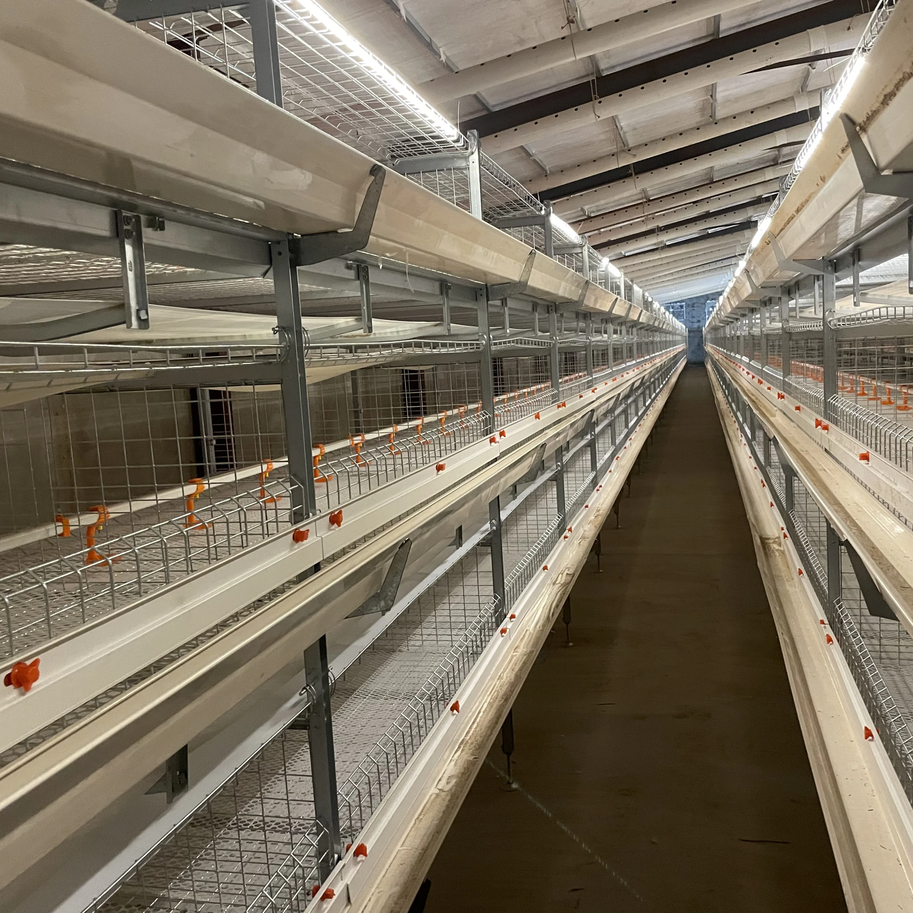 Broiler Cage Automatic h Shape with Trolley Feeding System Battery Cages for Poultry Broiler Long Life Chicken Broiler Cage