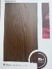 Ancona Elm