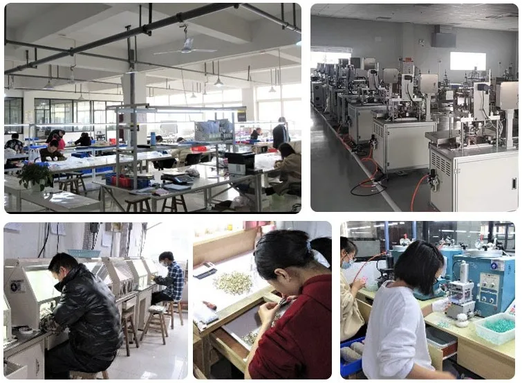 Anhui Wanshixin International Trading Co., Ltd. 1