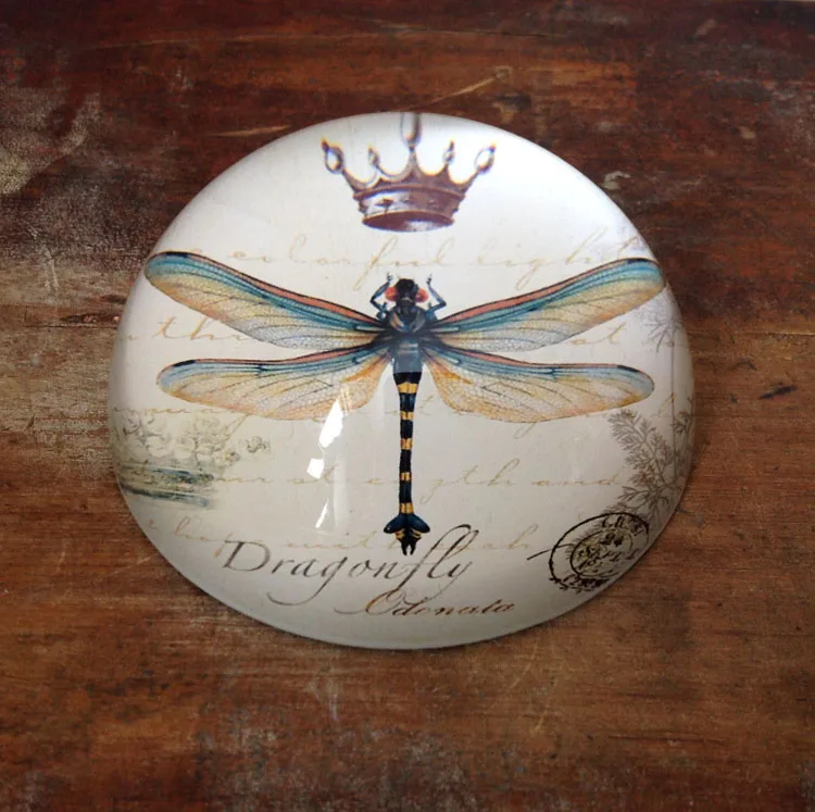 Circular Glass Dragonfly Paperweight MH-F0491