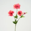 Rose foncé