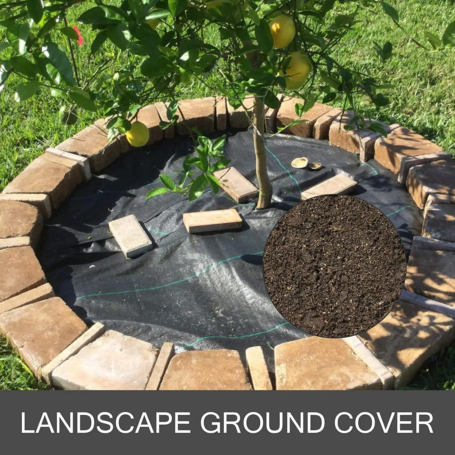 シートのプラスチック編まれたフィルムの農業の根おおいの雑草の生地の障壁の雑草のマットのプラスチック根おおいに根おおいをすること 3