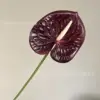 Little Palm