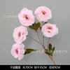 Thousand-Layer Lotus Dew
