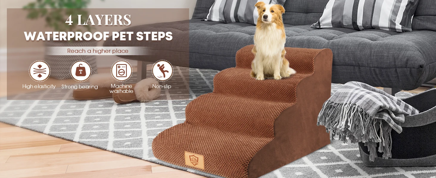 dog stair.jpg