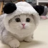 Panda hat
