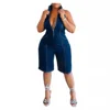 Bleu foncé
