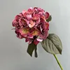 Rose Red
