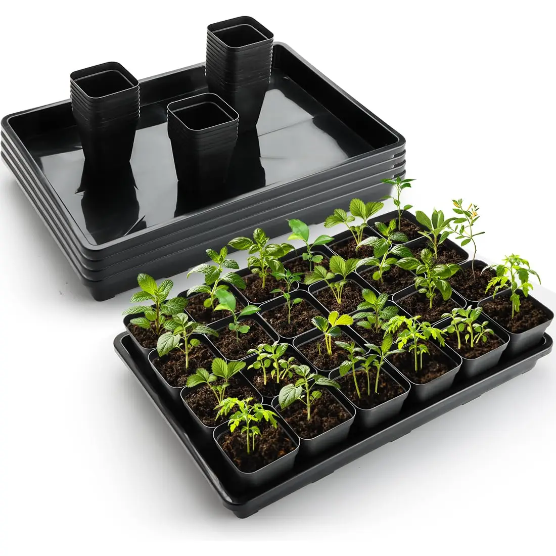 RooTrimmer 2.8 Inch (7CM) Square Nursery Pots 120pcs with 5 Pack Seed Starter Trays, Durable Plastic Flat Seedling Tray