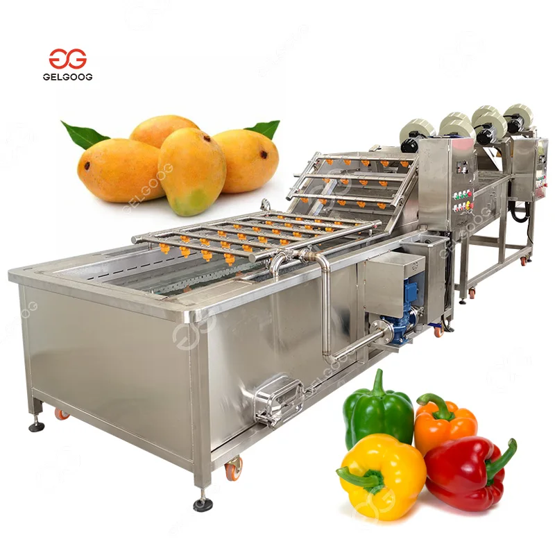 Bubble Water Organic Vegetable Washing Machine Bubble Cleaning Fruit Cleaning Tank for Onion