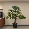 Árbol