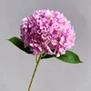 12# Rosa Morado